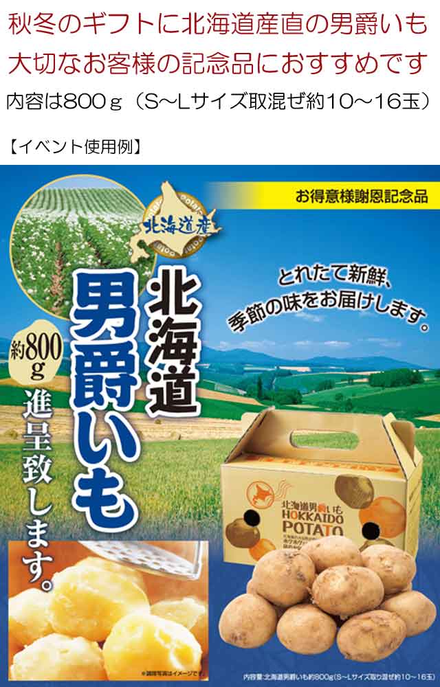粗品・景品・プチギフト・ノベルティ・記念品の粗品屋本舗　北海道男爵いも８００ｇ