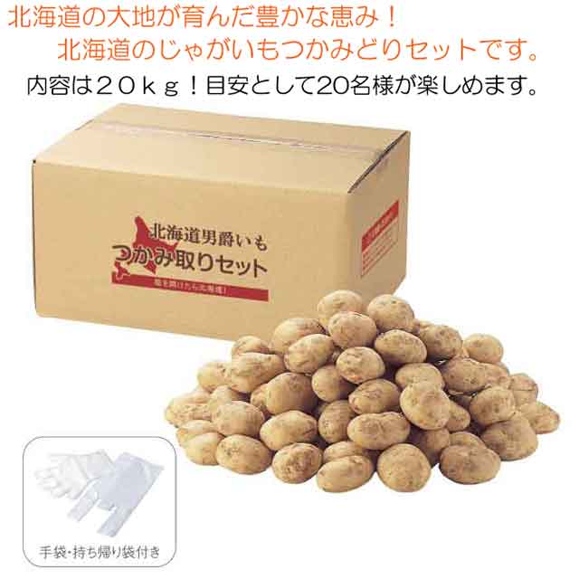 粗品・景品・プチギフト・ノベルティ・記念品の粗品屋本舗 北海道じゃがいもつかみどり20kg