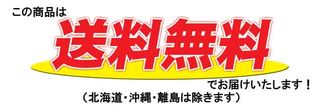 送料無料(北海道・沖縄・離島除く)